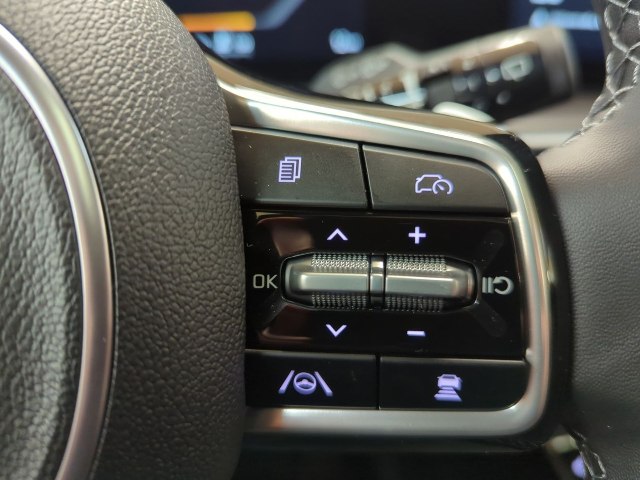 Kia Sorento Platinum Edition 2.2 CRDi 4WD, 142kW, A8, 5d.